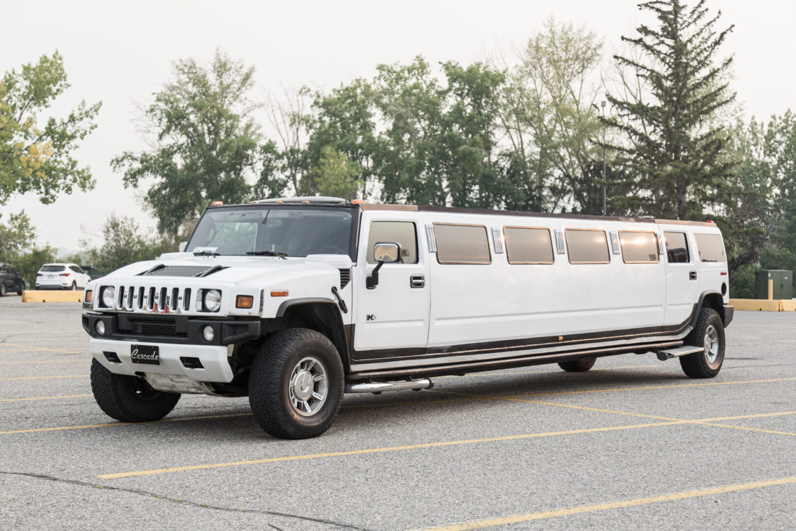 A white hummer limousine parked with trees in the back