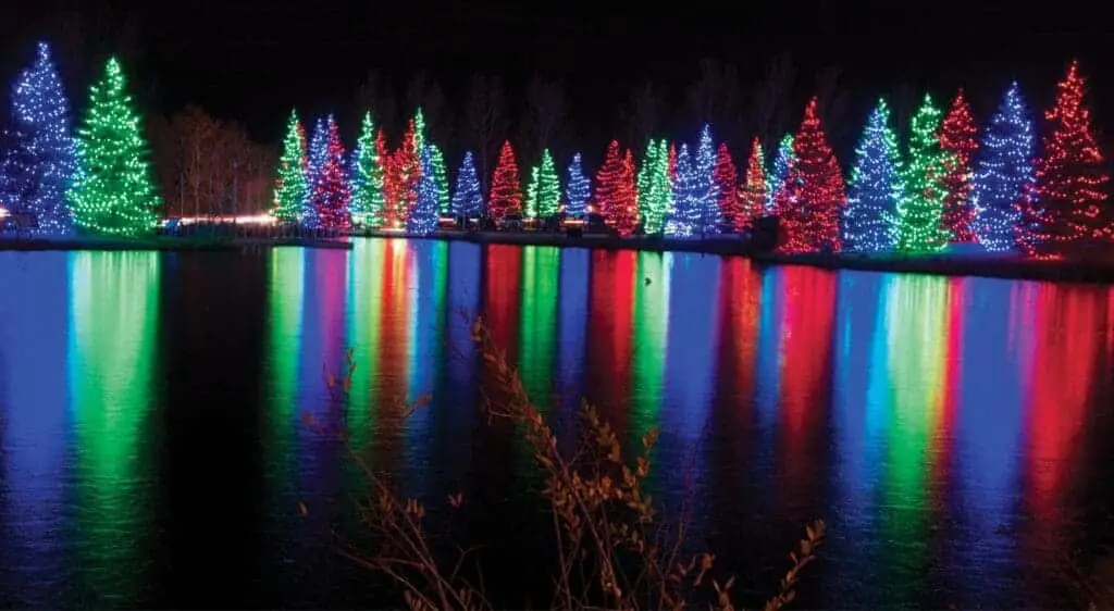 A shot taken at night at Spruce Meadows. The setting is night time and the shot is taken across a lake where on the other side there are natural tress decorated with Christmas lights. This photos shows an example of the sights seen during Cascade's annual Calgary Christmas lights drive thru limo tour