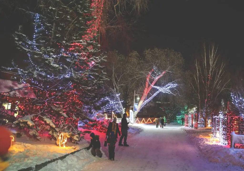 A family walks through a park that has trees decorated with Christmas lights. This photos shows an example of the sights seen during Cascade's annual Christmas lights drive thru limo tour